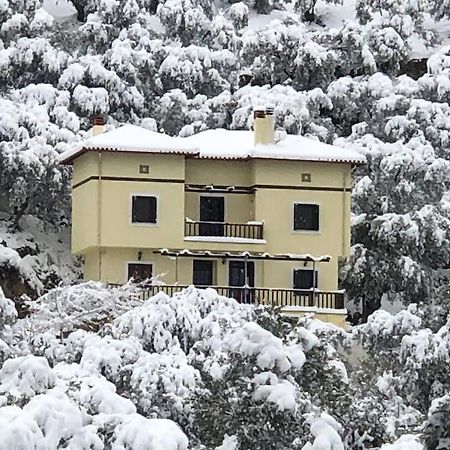 Pelion Mountain & Sea Villa - Private Studio Ano Gatzea Екстер'єр фото