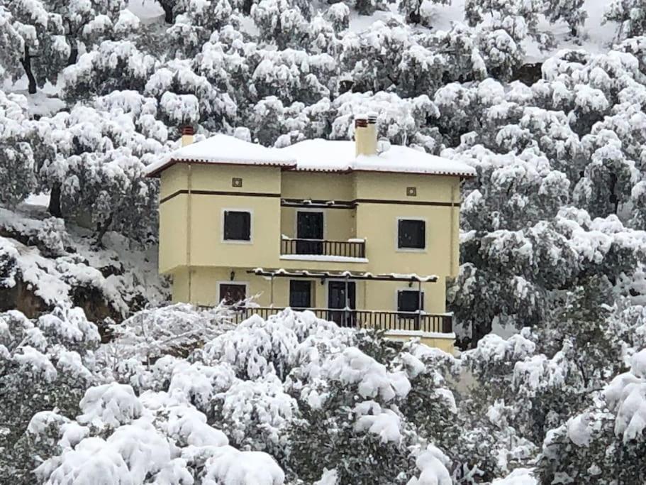 Pelion Mountain & Sea Villa - Private Studio Ano Gatzea Екстер'єр фото