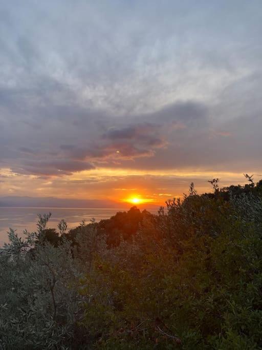 Pelion Mountain & Sea Villa - Private Studio Ano Gatzea Екстер'єр фото