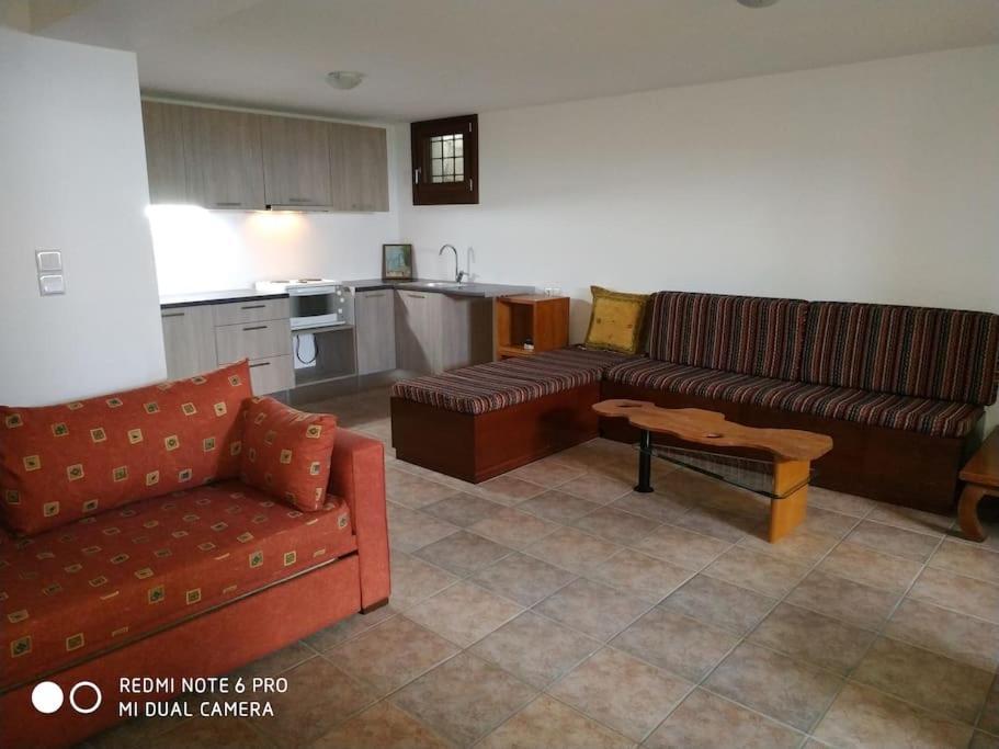 Pelion Mountain & Sea Villa - Private Studio Ano Gatzea Екстер'єр фото