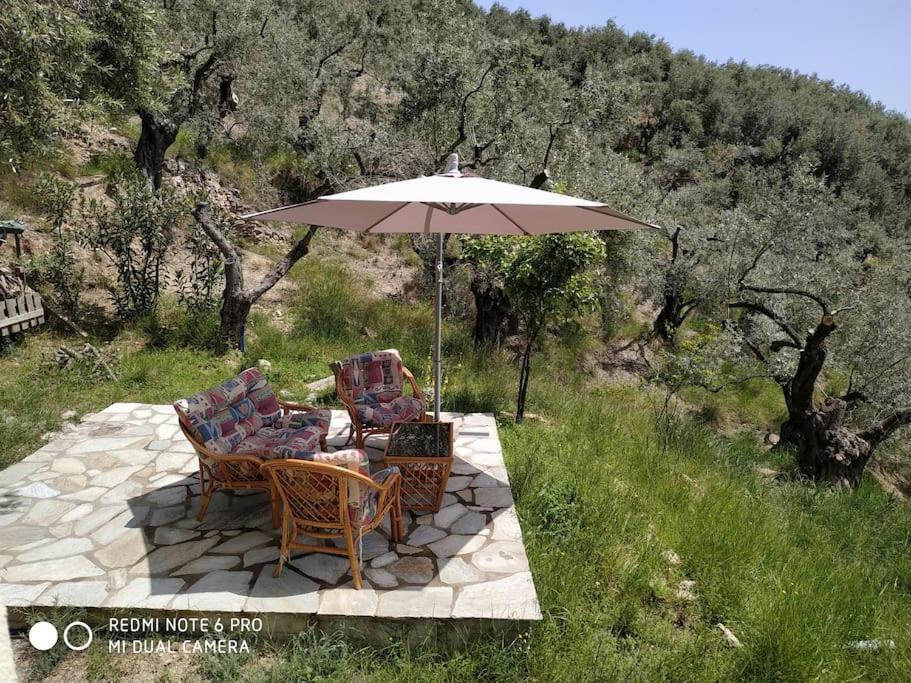 Pelion Mountain & Sea Villa - Private Studio Ano Gatzea Екстер'єр фото