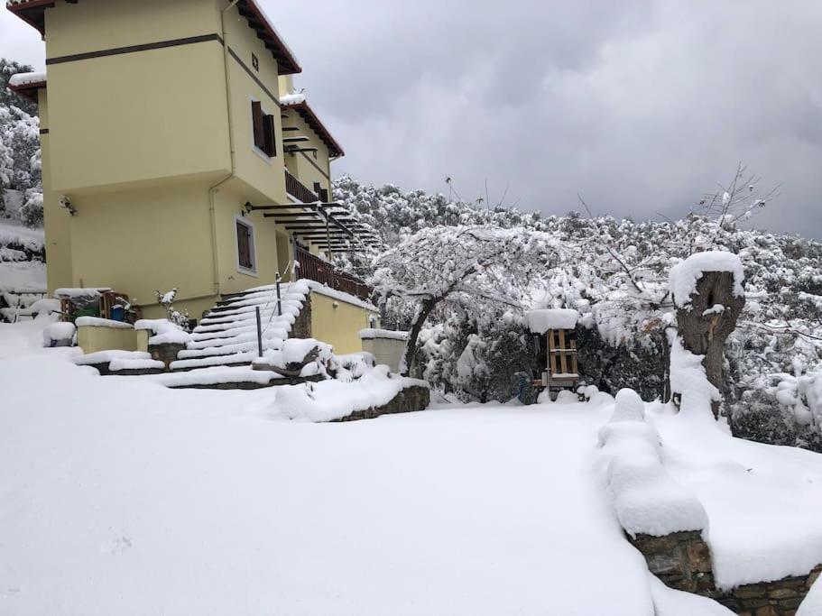 Pelion Mountain & Sea Villa - Private Studio Ano Gatzea Екстер'єр фото